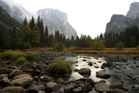 Yosemite Fine Art Print