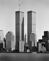 Jersey4 Fine Art Print