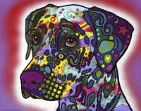 Dalmatian Fine Art Print