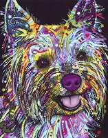 Yorkie Fine Art Print