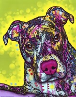Brindle Fine Art Print