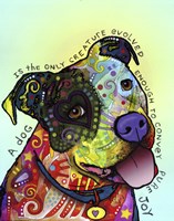 Pure Joy Fine Art Print