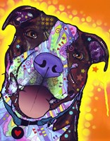 Daisy Pit Fine Art Print