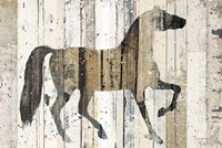 Dark Horse Fine Art Print