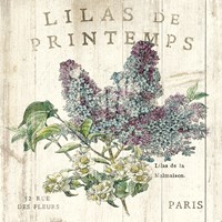 Lilas de Printemps Fine Art Print