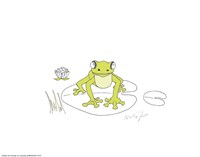 Nutshell Frog Framed Print