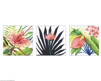 Tropical by Green Girl Canvas - various sizes
