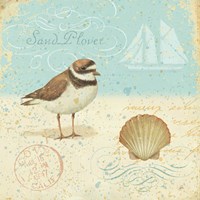 Natural Seashore I Fine Art Print