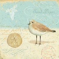 Natural Seashore II Fine Art Print