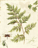 Ivies and Ferns I by Lisa Audit - various sizes