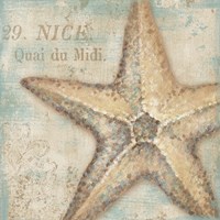 12" x 12" Starfish Pictures