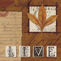 Natures Journal - Live Fine Art Print