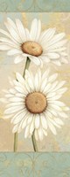 Beautiful Daisies I Framed Print