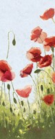 Mountain Poppies II Fine Art Print