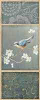 Nuthatch Fine Art Print