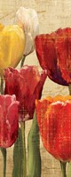 Tulip Fantasy on Cream III Fine Art Print