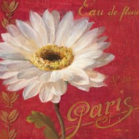 Paris Blossom I Fine Art Print