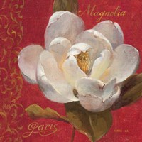 Paris Blossom III Fine Art Print