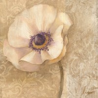 Brocade Poppy Fine Art Print