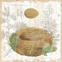 Botanical Nest IV Fine Art Print