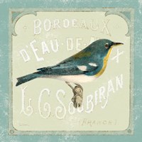 Parisian Bird I Fine Art Print