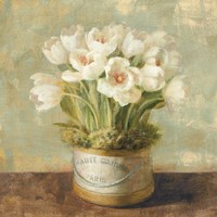 Hatbox Tulips Fine Art Print