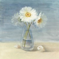 Daisies and Shells Fine Art Print