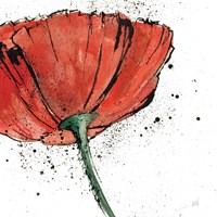 Not a California Poppy I on White Fine Art Print