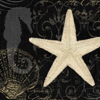 Coastal Moonlight I Fine Art Print