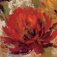 Fiery Dahlias II Crop Fine Art Print