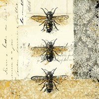 Golden Bees n Butterflies No. 1 Fine Art Print