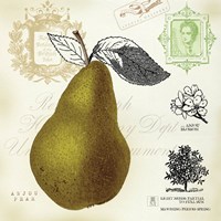Pear Notes Fine Art Print