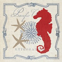 Pacific Seahorse Fine Art Print