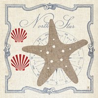 Pacific Starfish Fine Art Print