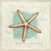 Coastal Jewels IV Fine Art Print