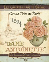 French Seed Packet II Fine Art Print