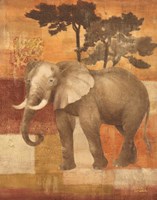 22" x 28" Elephant Pictures