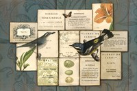 Birds of the Garden Fine Art Print