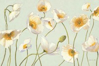White and Bright Poppies Fine Art Print