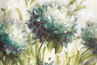 Hydrangea Field Fine Art Print