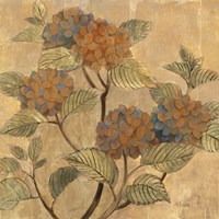 Golden Hydrangea Fine Art Print