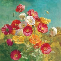 Poppies in the Field Fine Art Print