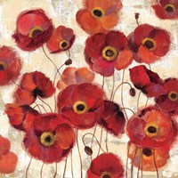 Bold Poppies Fine Art Print