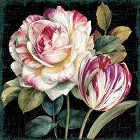 Garden View VIII Black Fine Art Print