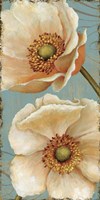 Windflower I Fine Art Print