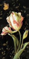 10" x 20" Tulips Pictures