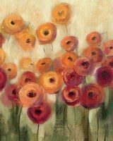 Ranunculi Field III Fine Art Print