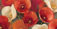 Poppies Bloom I Fine Art Print