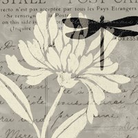 Natural Prints II Framed Print