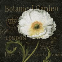 Botanical Garden II Fine Art Print